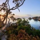 Te Pare Reserve, Coromandel