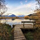 Glenorchy Seat with a View