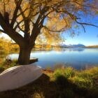 Dreamy Lake Alexandrina