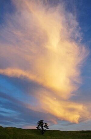 Mt Wellington Sunset