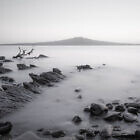 Rangitoto from Winscombe Reserve