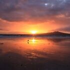 Rangitoto Island Ablaze