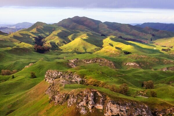 Te Mata Peak Morning