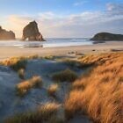 Wharariki Dunes