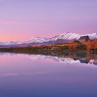 Lake Tekapo