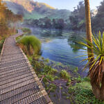 Blue Springs - Te Waihou Walkway