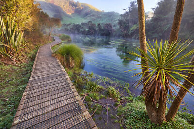 Blue Springs - Te Waihou Walkway