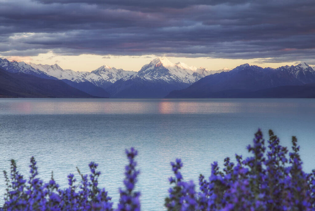 Mt Cook from Lake Pukaki