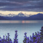 Mt Cook from Lake Pukaki