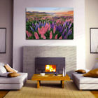 Wall art canvas print lupins tekapo