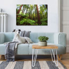 redwoods_canvas_print