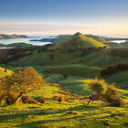Otago Peninsula Sunrise from Peggy's Hill