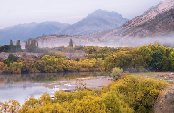 Mawarau river mist