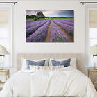alphra-lavender-farm-canvas-print