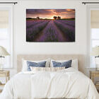 alphra_lavender_sunriset_canvas_print