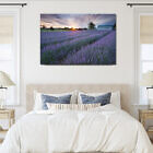 alphra_lavender_sunset_canvas_print