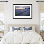 alphra_lavender_sunset_framed_print