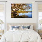 lake_alexandrina_autumn_canvas_print