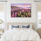 lake_tekapo_lupin_dreams_canvas_print