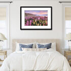 lake_tekapo_lupin_dreams_framed_print