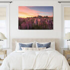 tekapo_lupins_alight_canvas_print