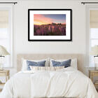 tekapo_lupins_alight_framed_print
