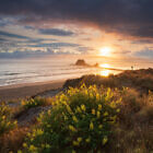 Mangawhai Heads golden light